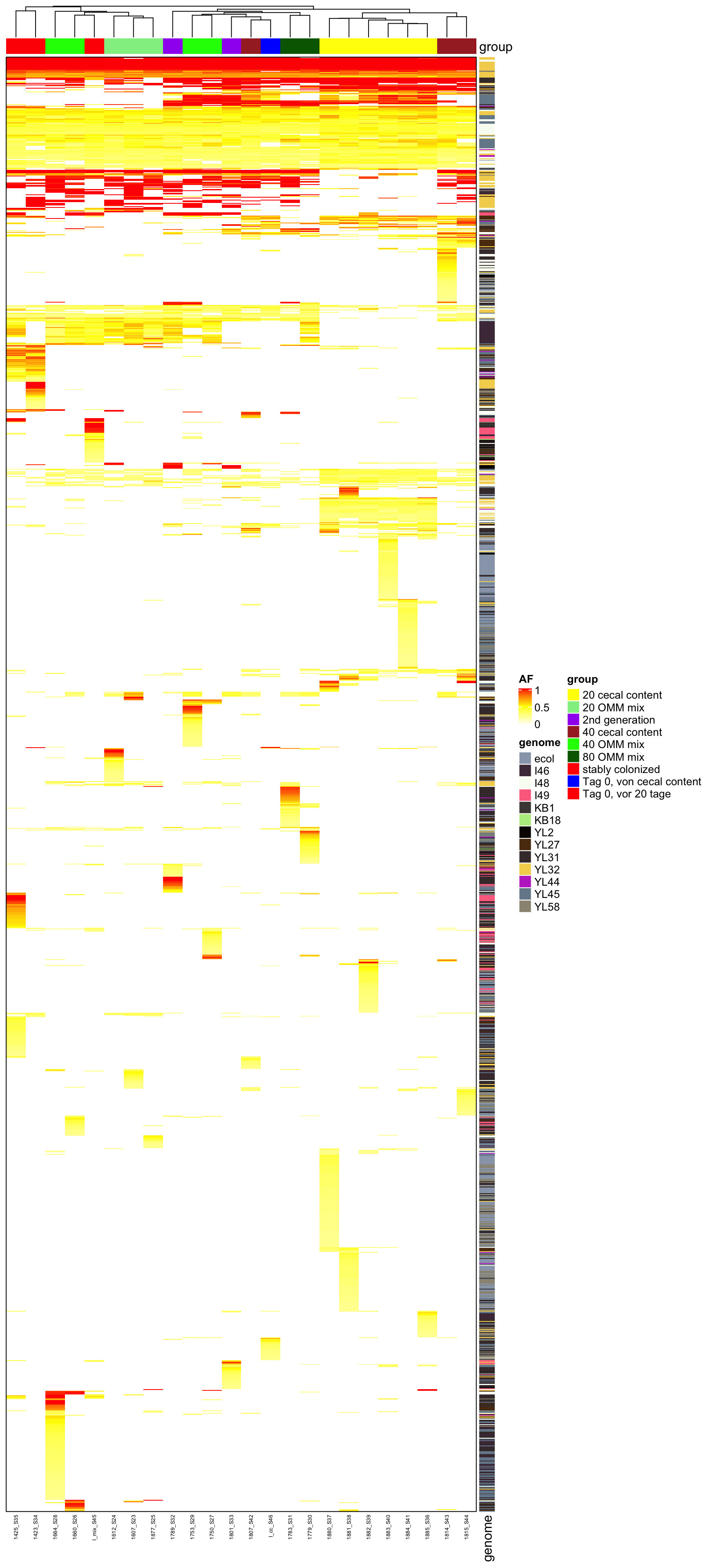 AF of all variants (after mutation bias filtering)