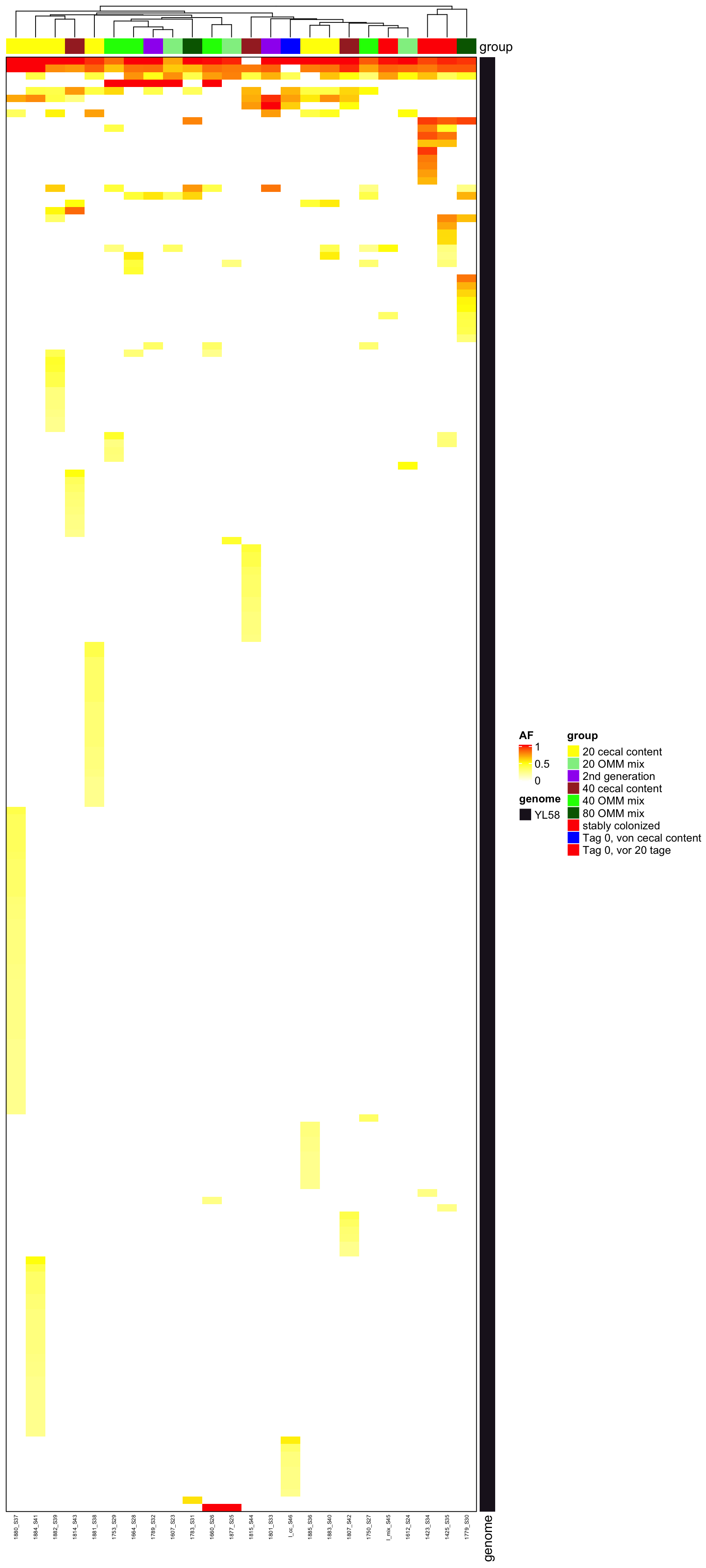 AF of all variants (after mutation bias filtering)