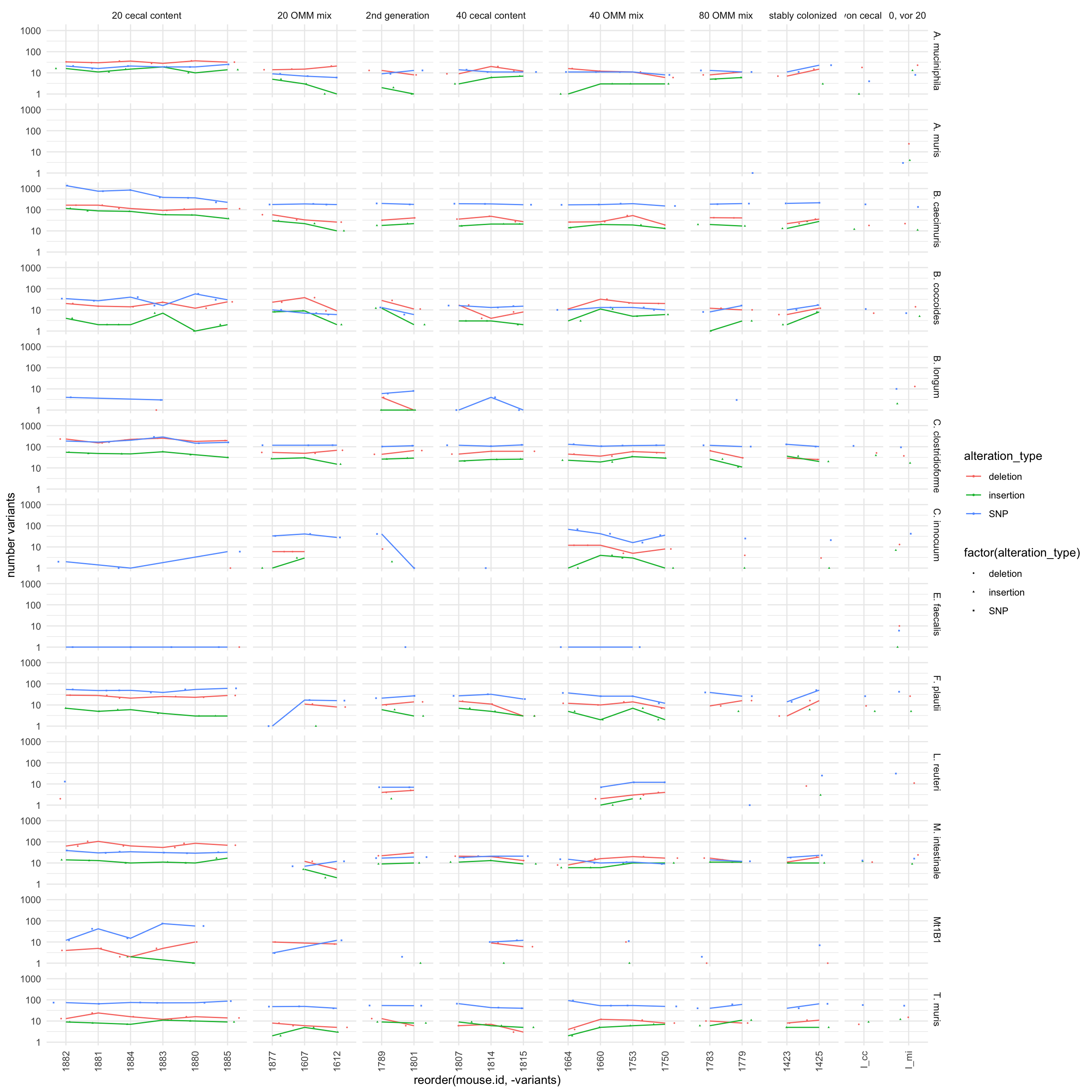 total number of variants of all 12 OMM genomes by mouse and grouyp stratified by variant type. Seems there is still a outlier (20 cecal content caecimuris, where some samples have more than 1000 varaints)