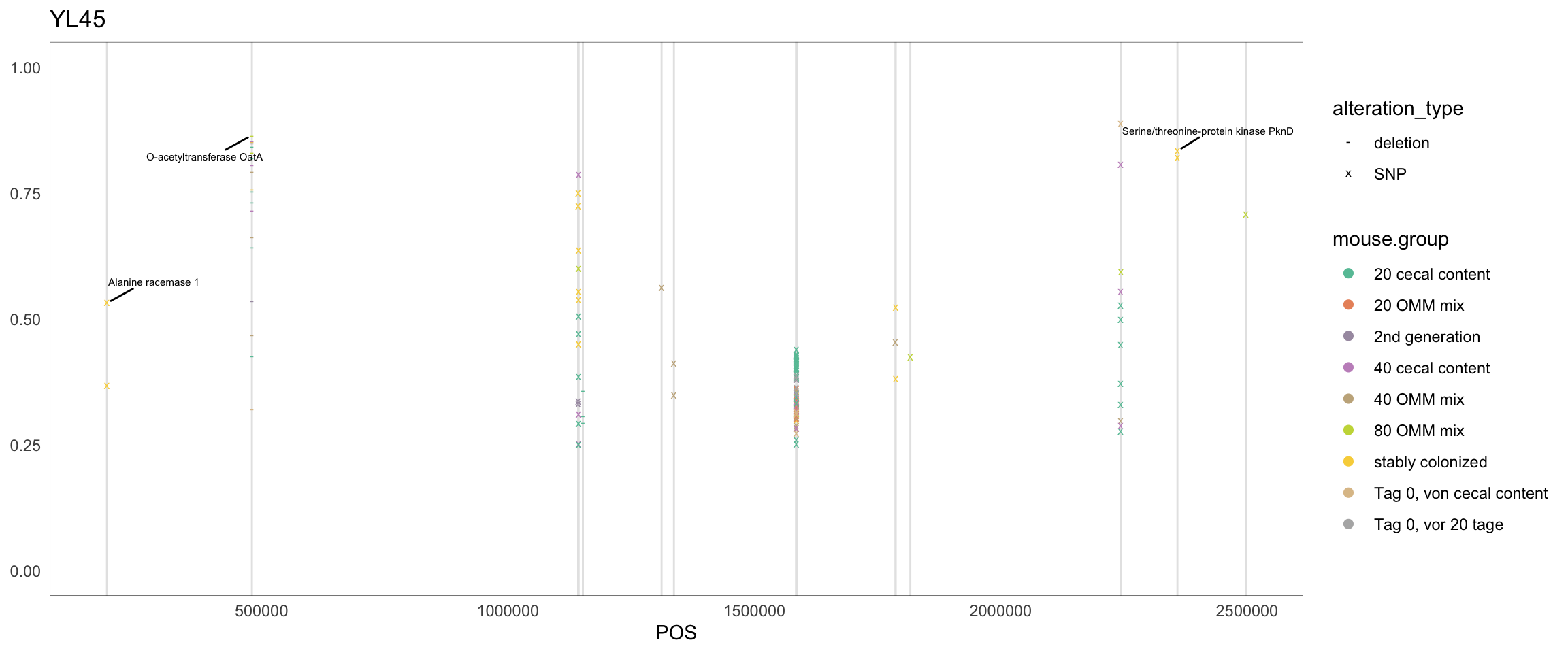 Position of variants. vertical lines show positions with functional annotation, if no annotation is shown, then its either hypothetical or outside ORF