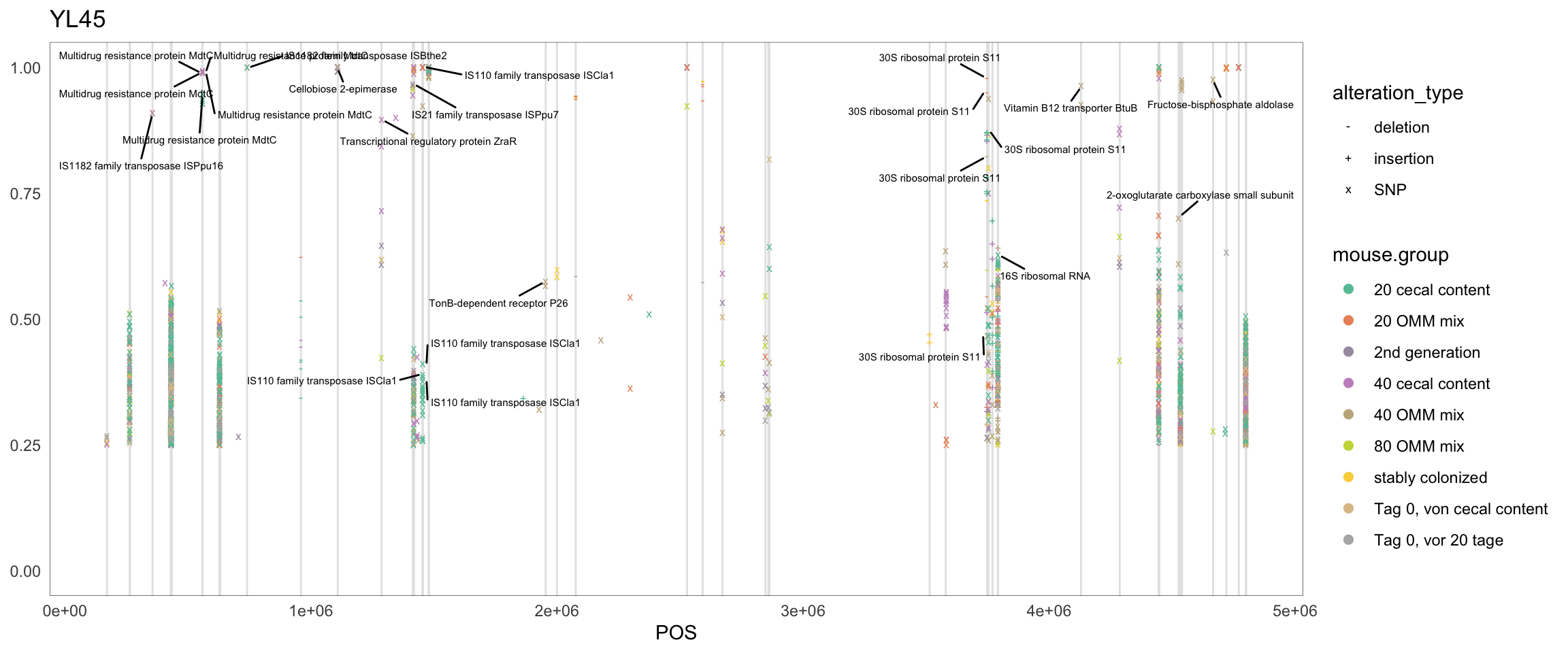 Position of variants. vertical lines show positions with functional annotation, if no annotation is shown, then its either hypothetical or outside ORF