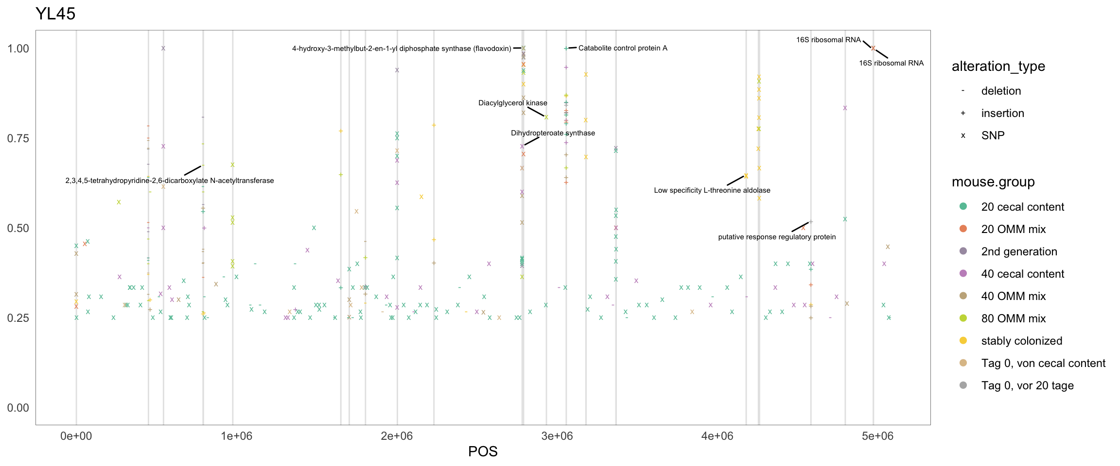 Position of variants. vertical lines show positions with functional annotation, if no annotation is shown, then its either hypothetical or outside ORF