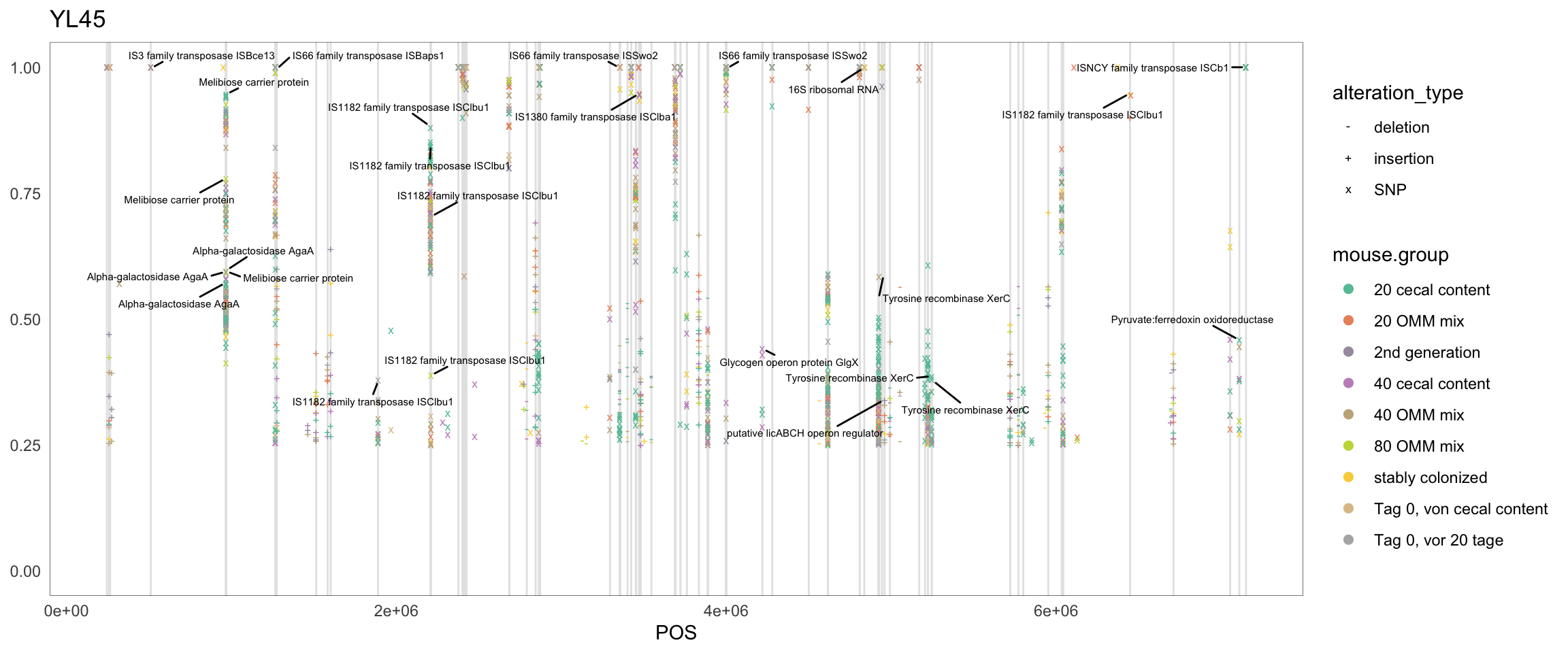 Position of variants. vertical lines show positions with functional annotation, if no annotation is shown, then its either hypothetical or outside ORF