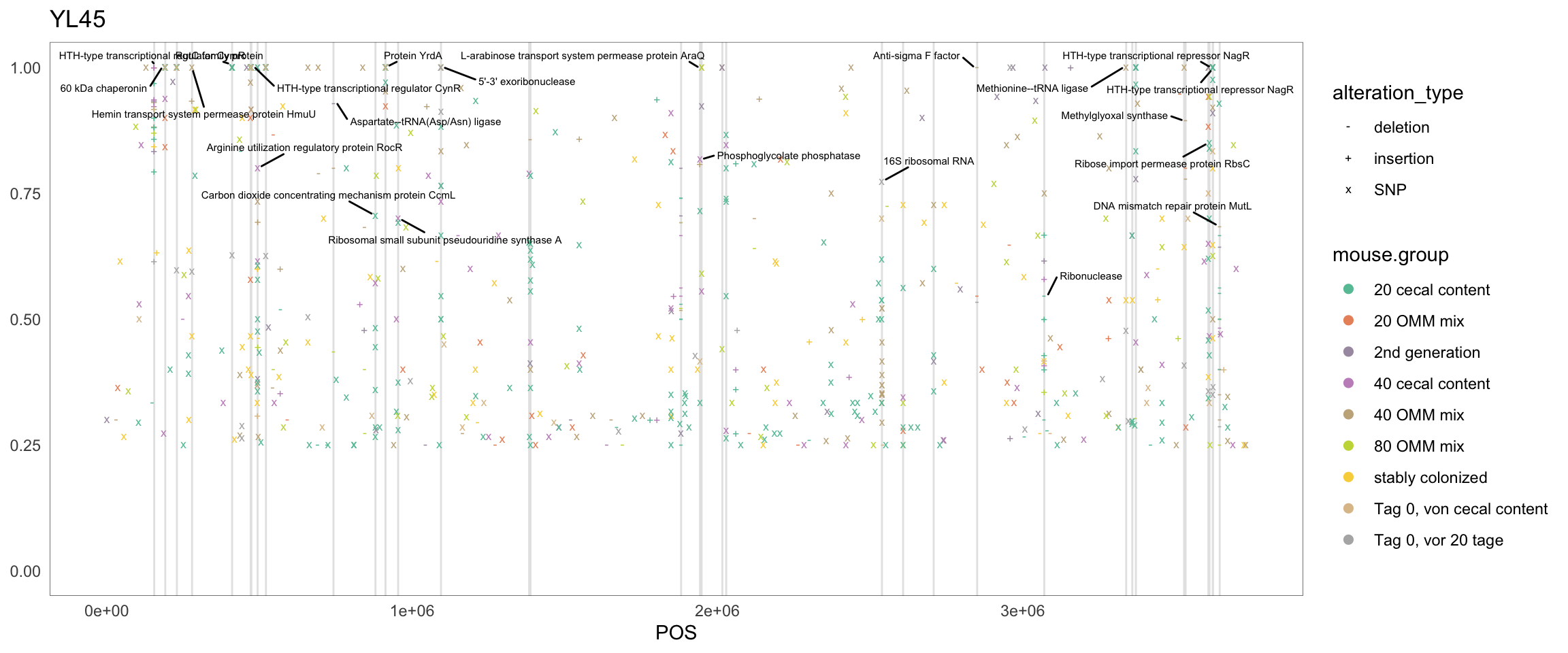 Position of variants. vertical lines show positions with functional annotation, if no annotation is shown, then its either hypothetical or outside ORF