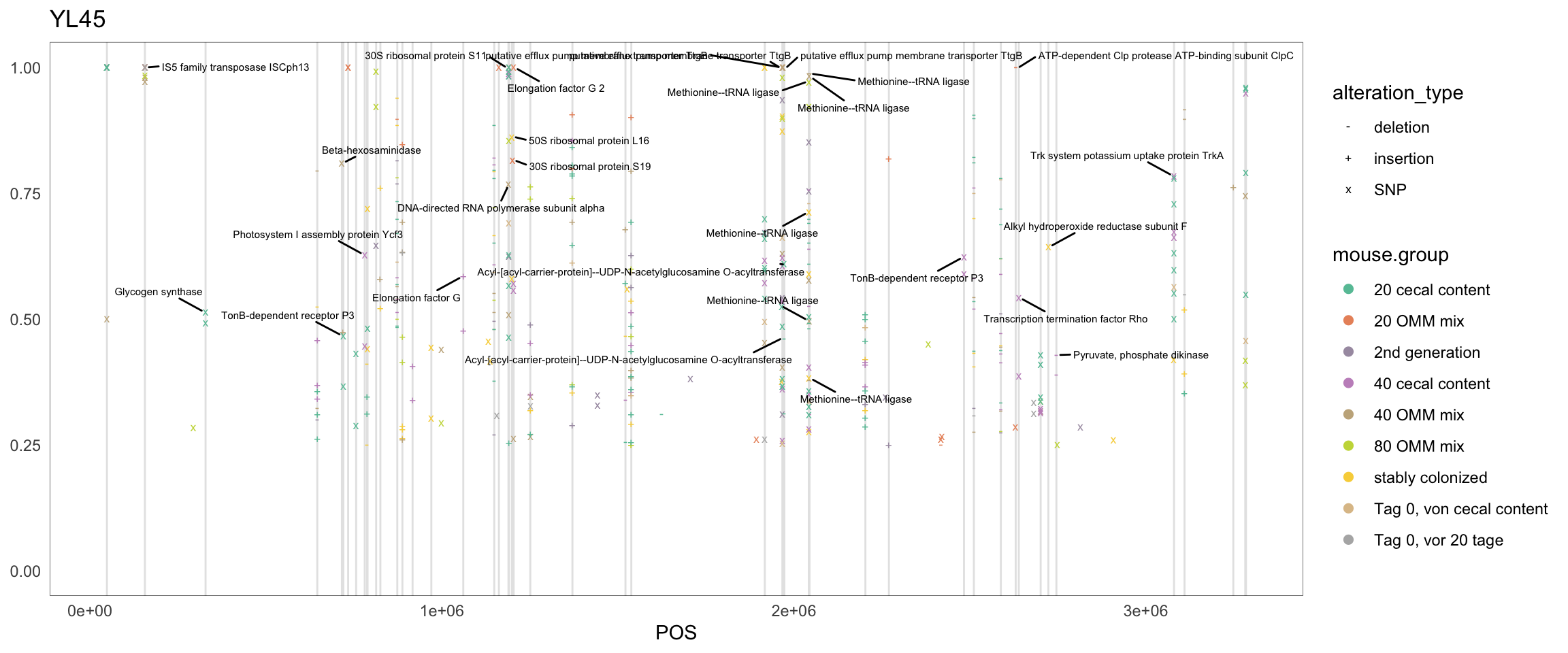 Position of variants. vertical lines show positions with functional annotation, if no annotation is shown, then its either hypothetical or outside ORF