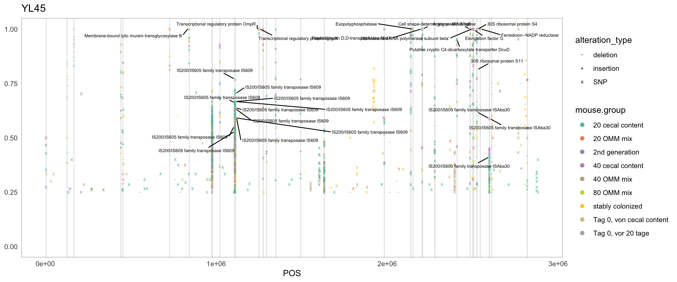 Position of variants. vertical lines show positions with functional annotation, if no annotation is shown, then its either hypothetical or outside ORF