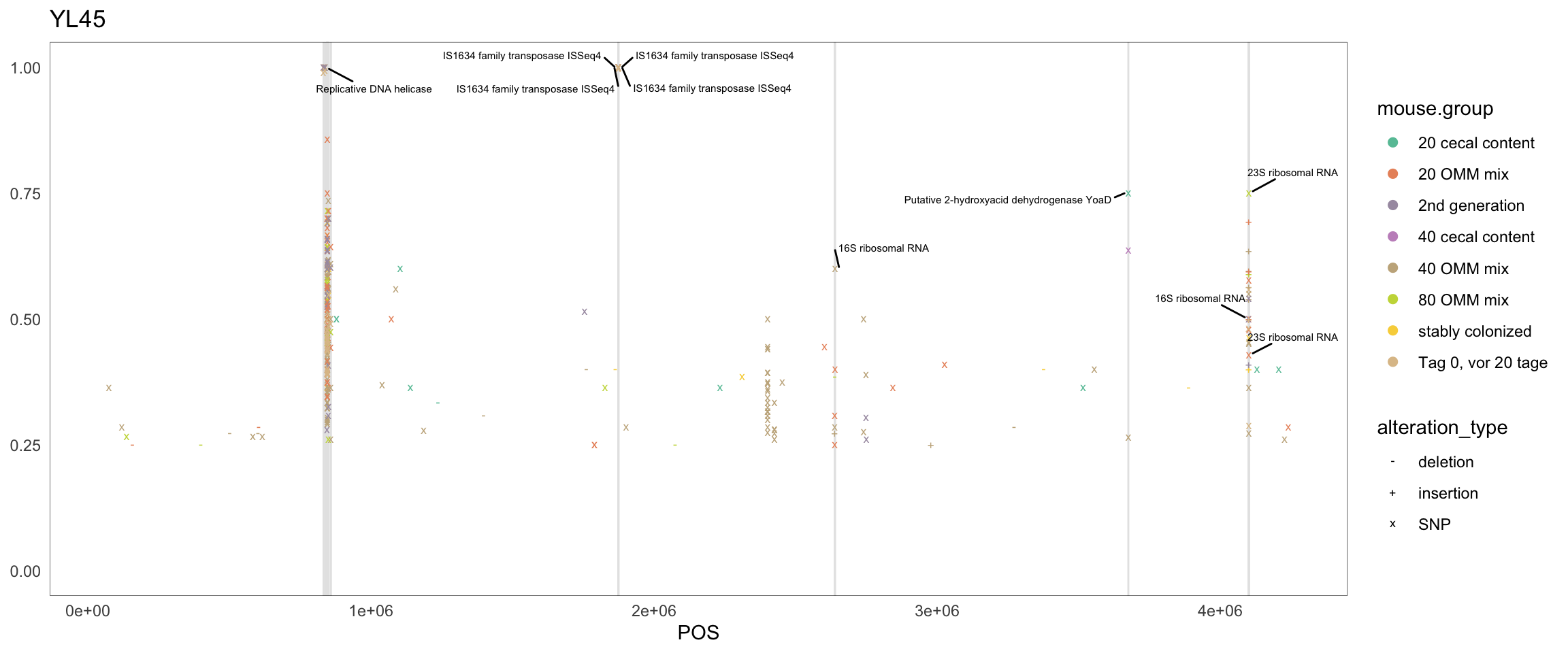 Position of variants. vertical lines show positions with functional annotation, if no annotation is shown, then its either hypothetical or outside ORF