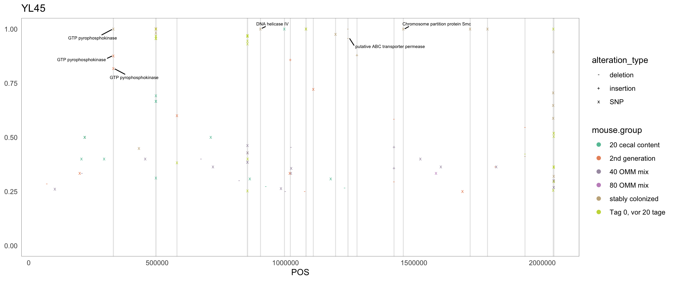 Position of variants. vertical lines show positions with functional annotation, if no annotation is shown, then its either hypothetical or outside ORF