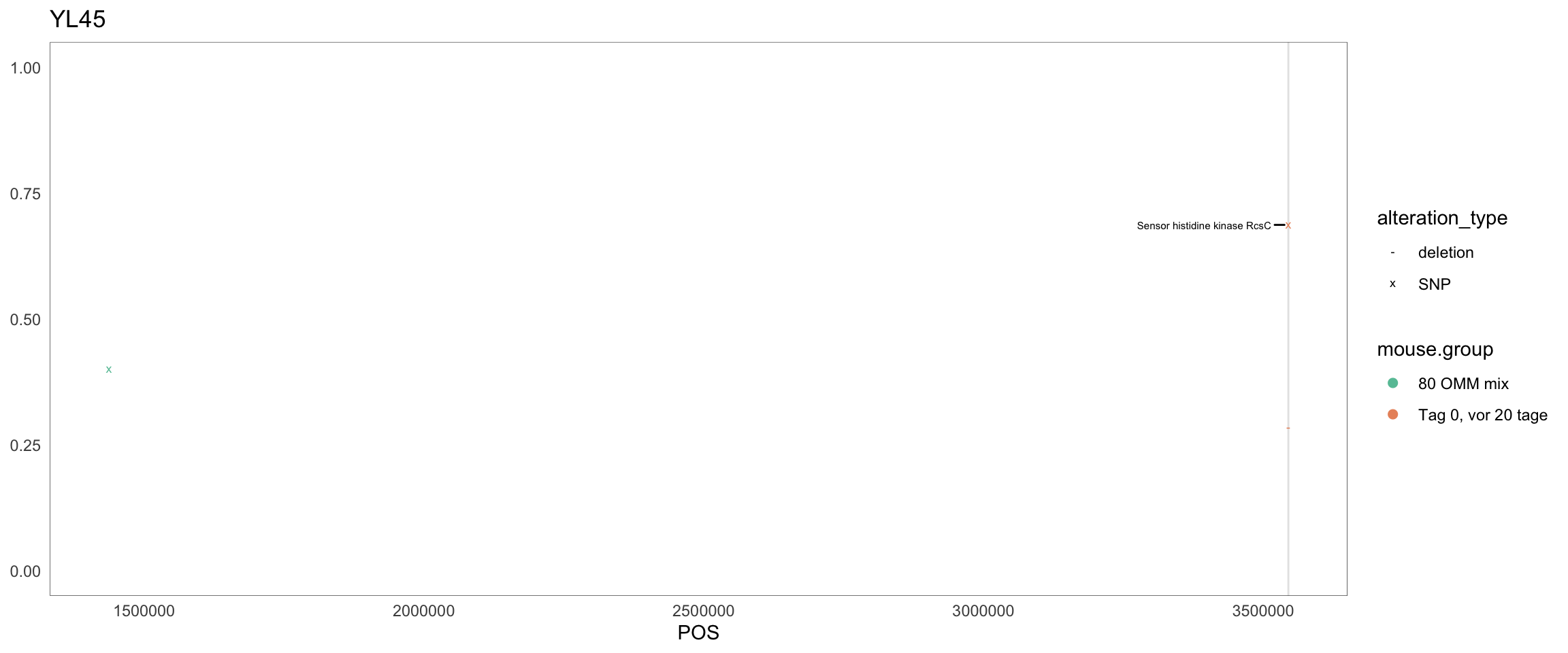 Position of variants. vertical lines show positions with functional annotation, if no annotation is shown, then its either hypothetical or outside ORF