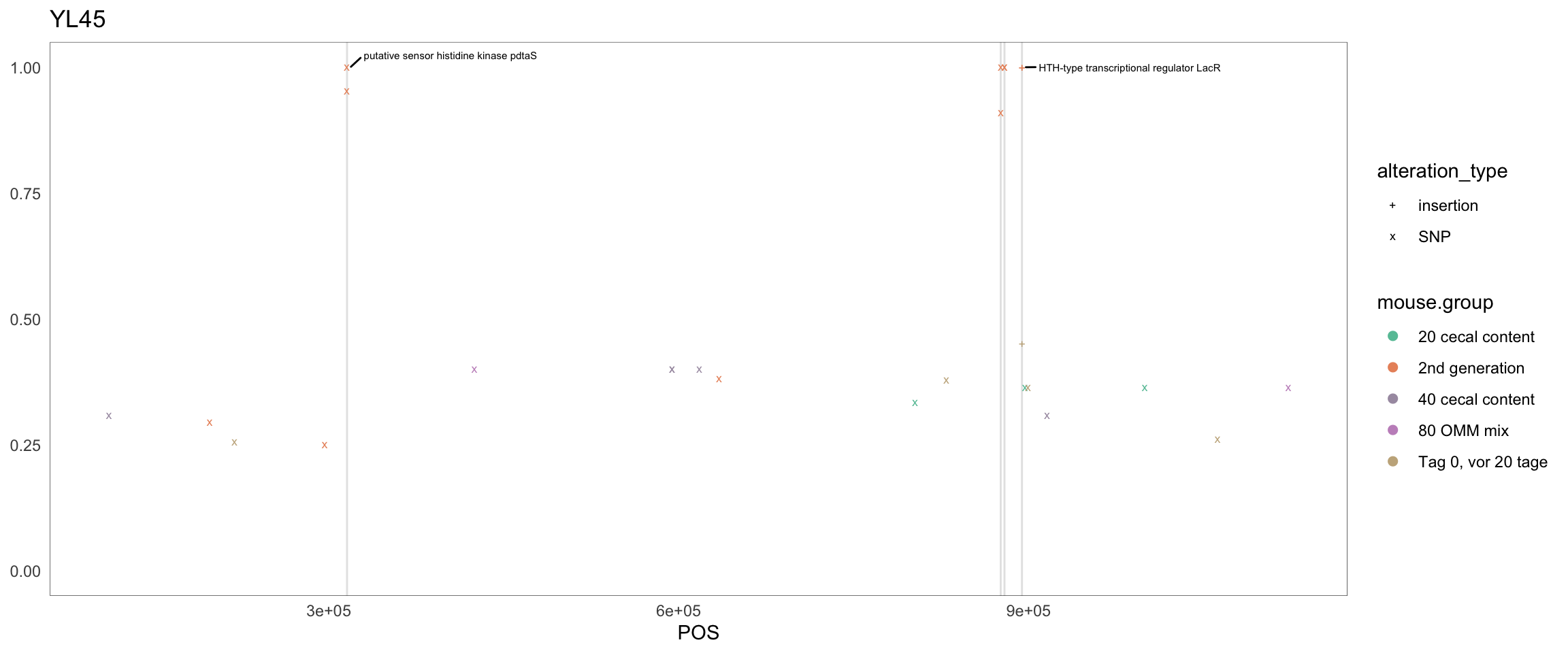 Position of variants. vertical lines show positions with functional annotation, if no annotation is shown, then its either hypothetical or outside ORF