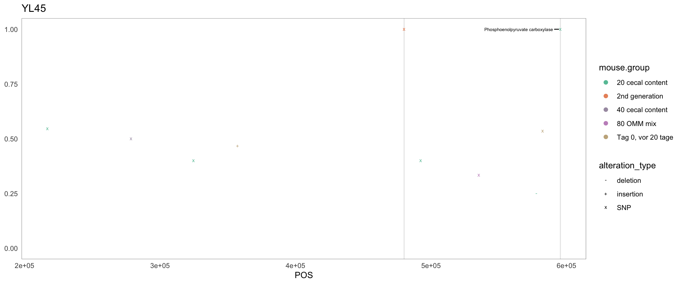 Position of variants. vertical lines show positions with functional annotation, if no annotation is shown, then its either hypothetical or outside ORF