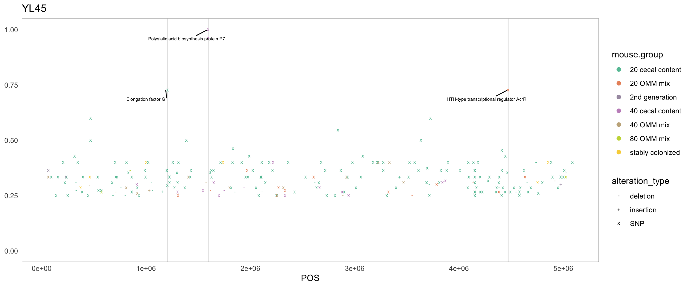 Position of variants. vertical lines show positions with functional annotation, if no annotation is shown, then its either hypothetical or outside ORF