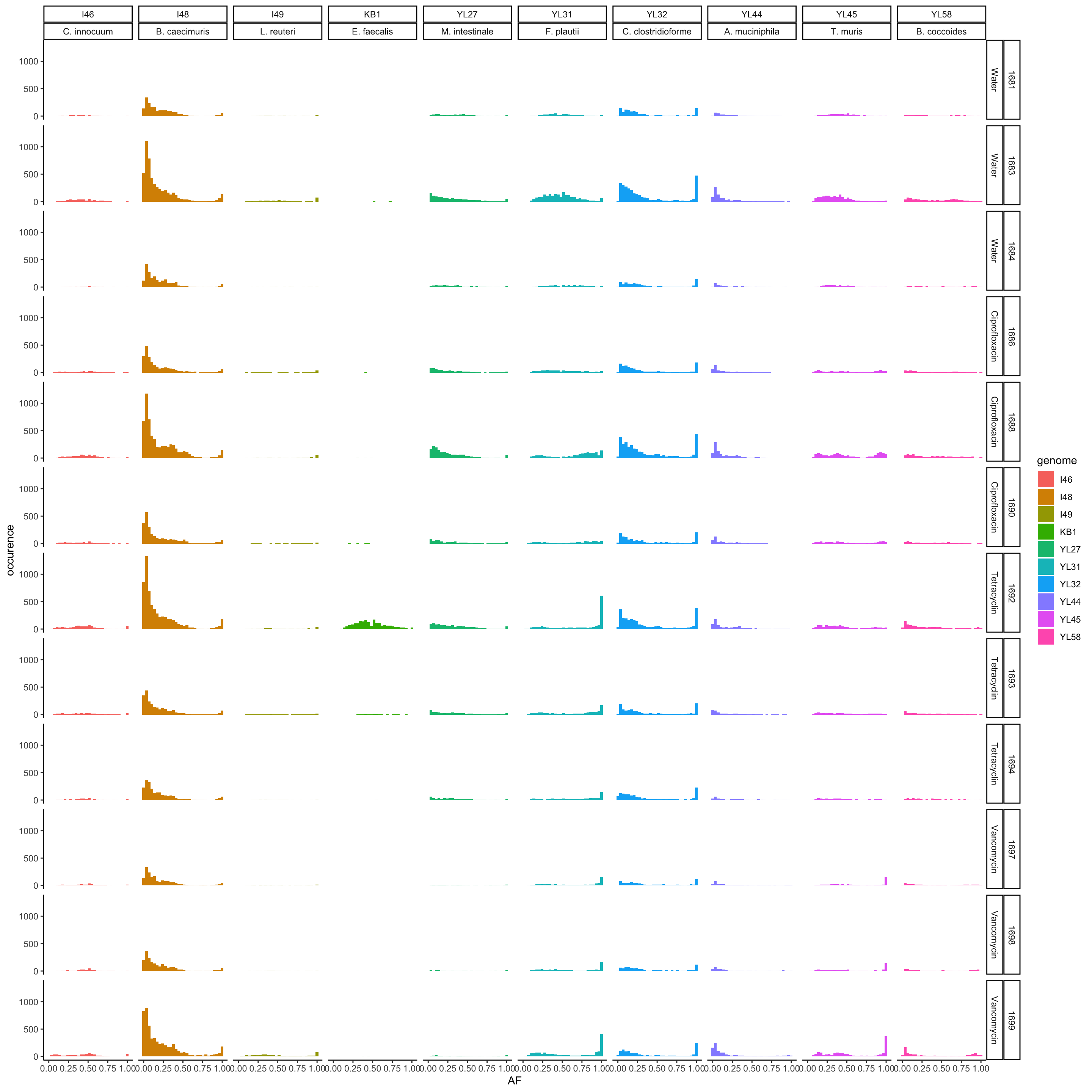 AF of resequenced strains