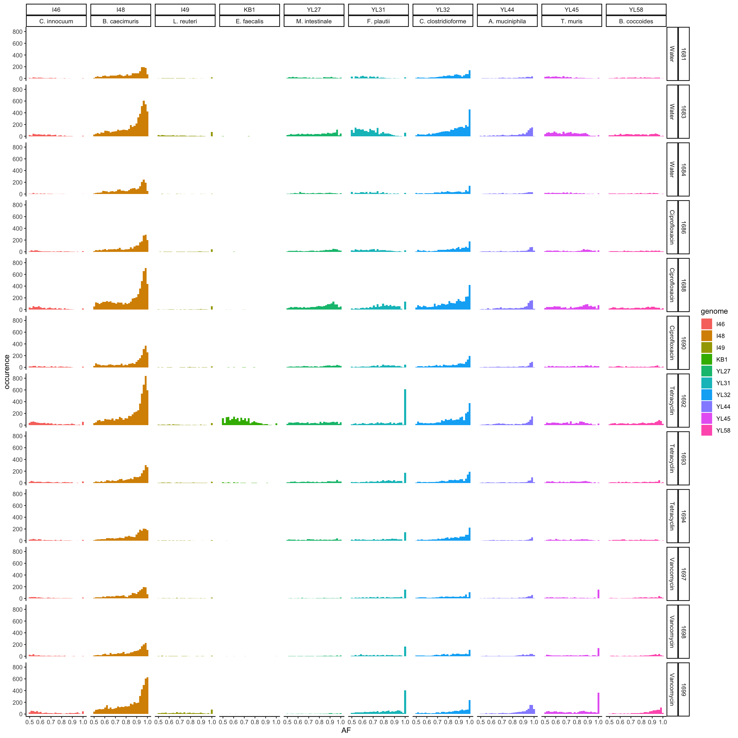 major AF of resequenced strains